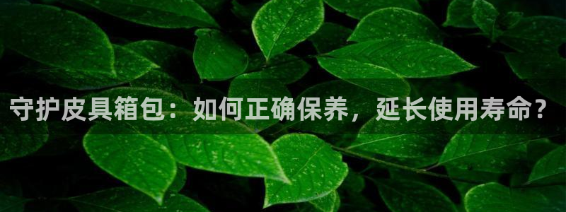 hr娱乐 扣卧龙60447