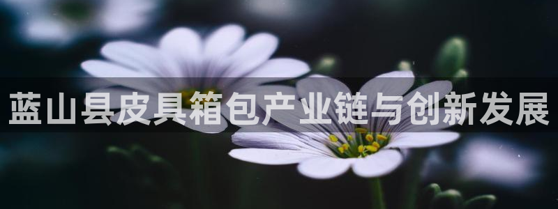 SKY娱乐 卧龙主管60447