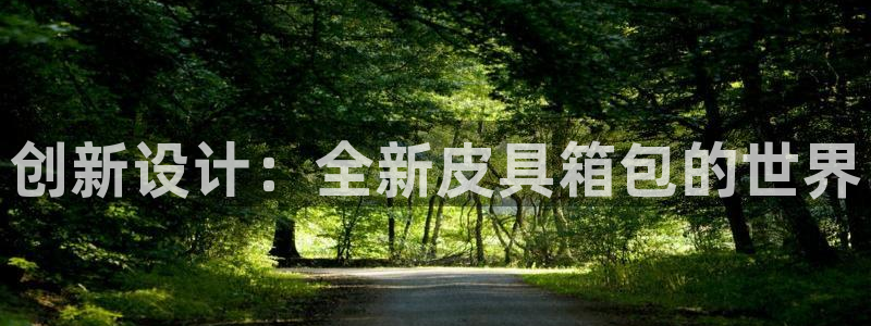 we娱乐 卧龙主管60447