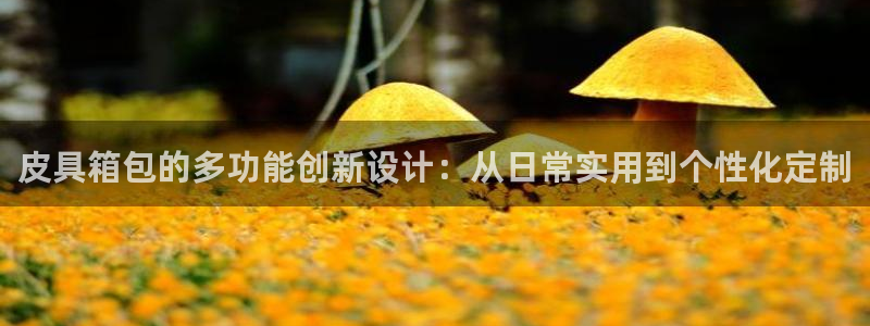 卧龙娱乐账号登录设置