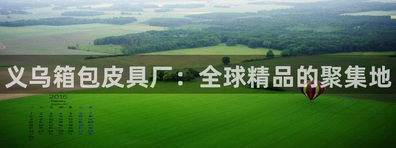 卧龙娱乐气垫项目投资