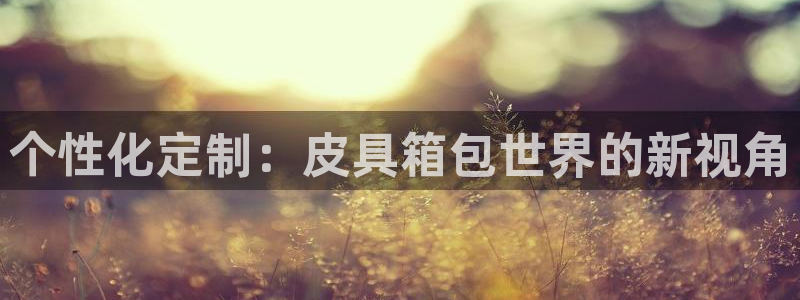 超越娱乐b卧龙313322