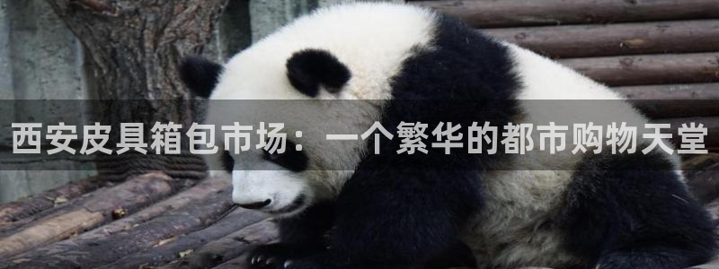 卧龙凤雏娱乐图