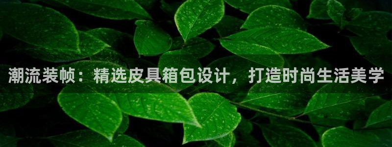 卧龙娱乐网址多少