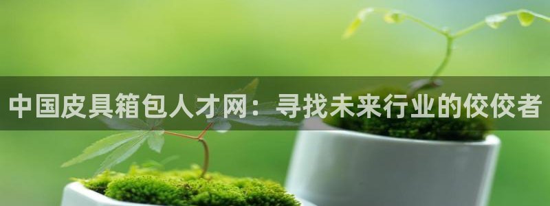 卧龙娱乐怎么注册会员