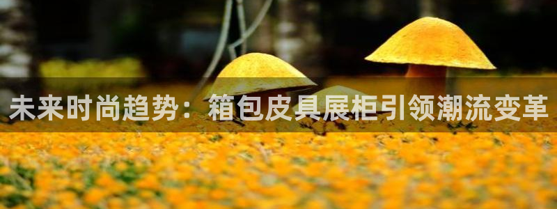 卧龙娱乐能出款吗