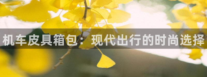 太和卧龙娱乐会所