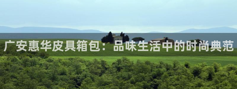 we娱乐 卧龙股东60447