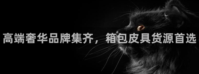 卧龙娱乐彩票怎么玩