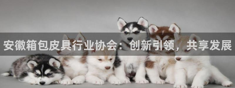 卧龙天尊国际娱乐会所