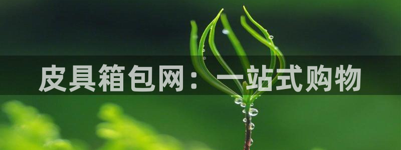 卧龙娱乐下载安装