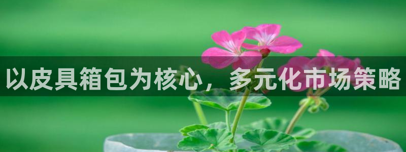 太和卧龙娱乐会所