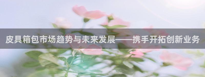 卧龙娱乐设备公司