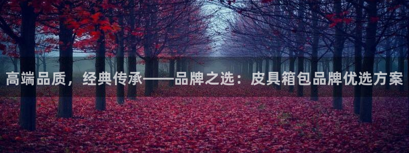 卧龙娱乐注册账号