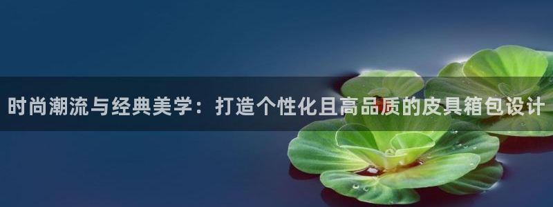 卧龙娱乐挂机平台官网