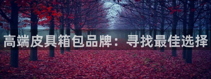 卧龙2娱乐雀711112