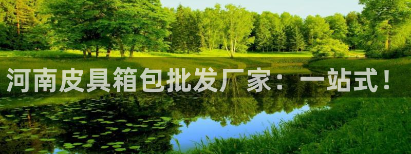 卧龙娱乐在线直播网站