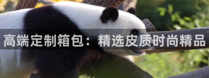 广丰卧龙城娱乐