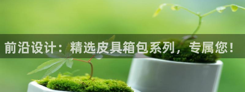 卧龙娱乐平台下载