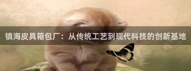 卧龙娱乐账号登录设置