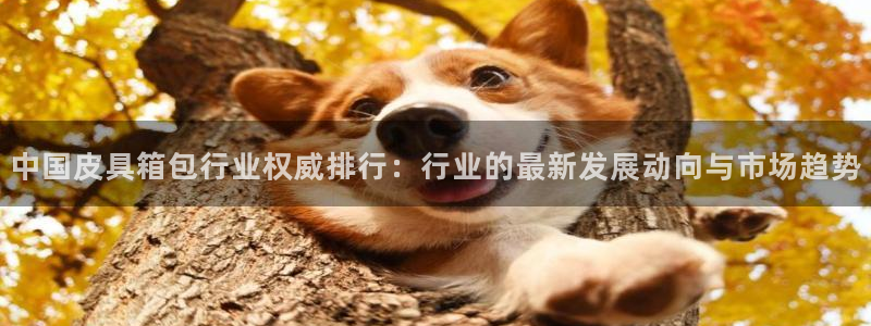 卧龙娱乐登录地址在哪