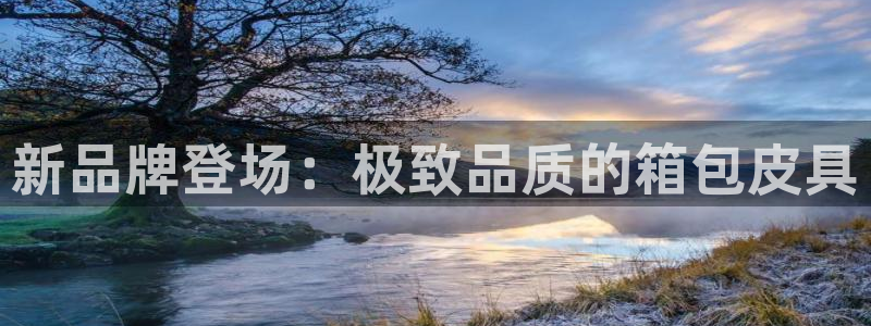 SKY娱乐 卧龙股东60447