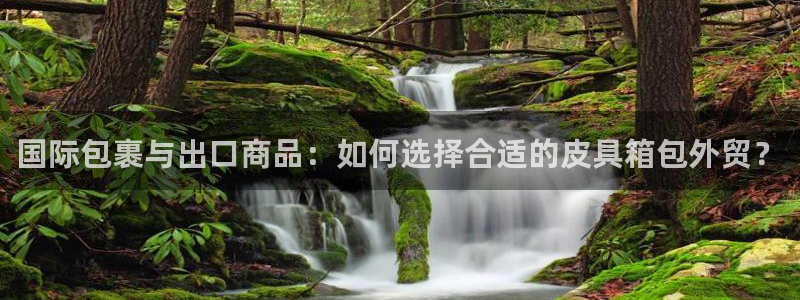 卧龙游乐娱乐设备