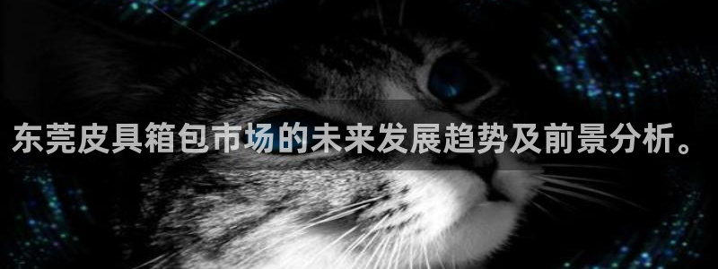 卧龙娱乐怎样注册公司