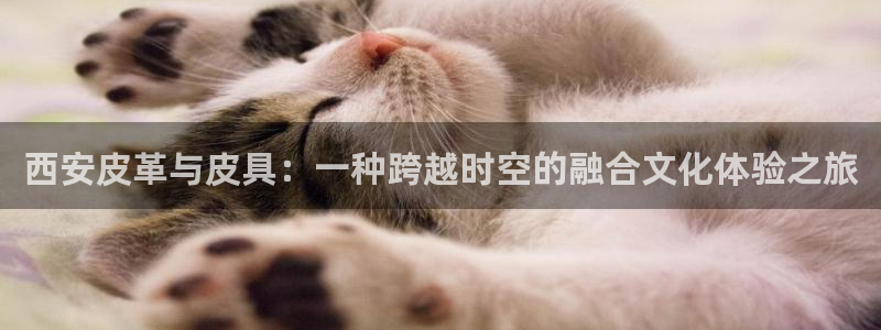 卧龙湾娱乐购票