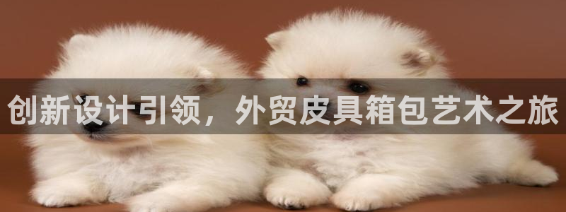 卧龙娱乐怎么不能注册