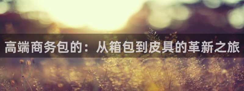 卧龙娱乐属于什么公司