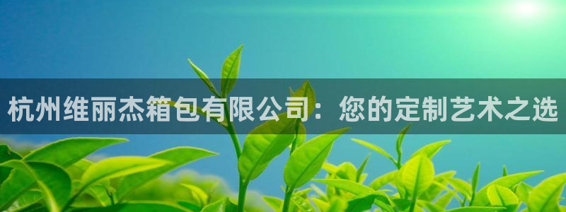 卧龙娱乐主管是谁呀