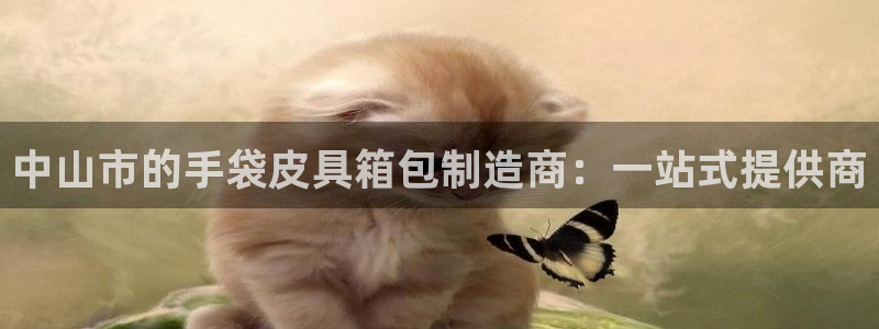 溧水卧龙湖娱乐