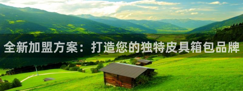 we娱乐 卧龙主管60447
