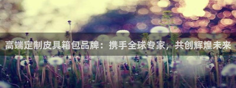 卧龙凤雏娱乐收入
