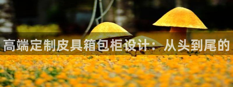 卧龙娱乐老板是谁
