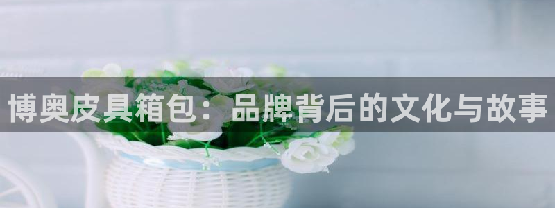 mvp娱乐 卧龙招商60447