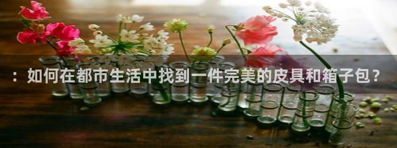 卧龙凤锄娱乐直播
