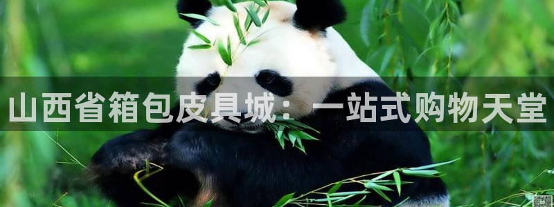 卧龙娱乐官网