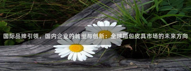 SKY娱乐卧龙主管60447