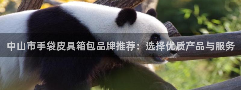 卧龙娱乐滴qv382223