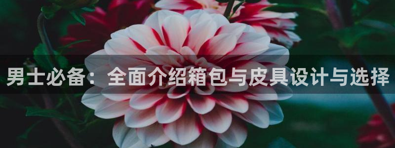 卧龙区社交娱乐