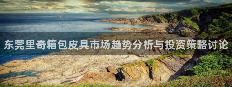 卧龙娱乐气垫项目投资
