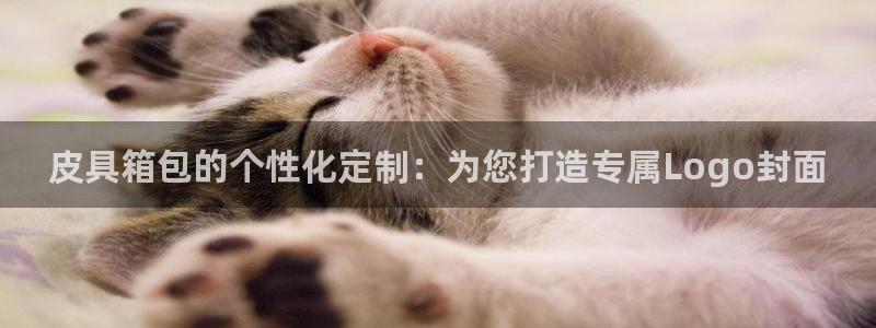 卧龙娱乐平台登录